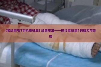 (老版雷电1手机单机版) 经典重温——探讨老版雷1的魅力与影响